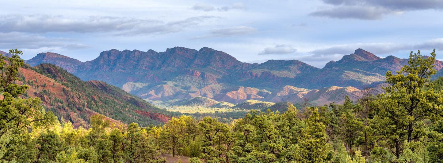 Bunyeroo Scenic Drive, Flinders Ranges