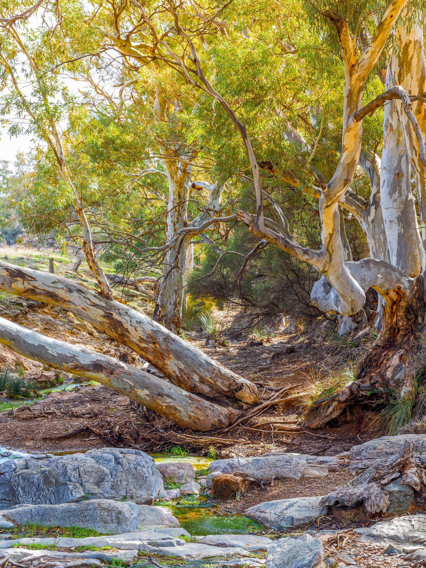Glass Gorge Rd Flinders Ranges SA