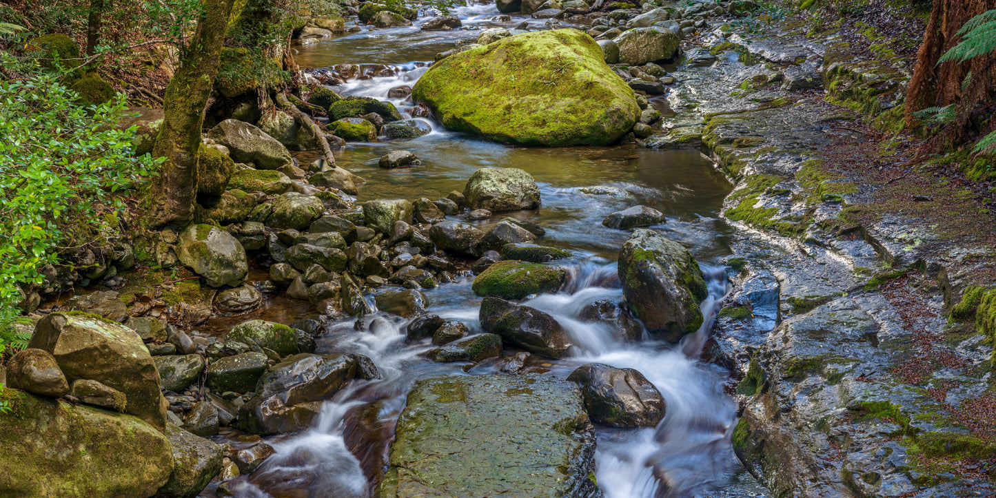 Liffey River, Tasmania