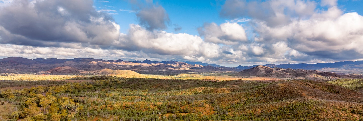 Looking South on Moolooloo Station
