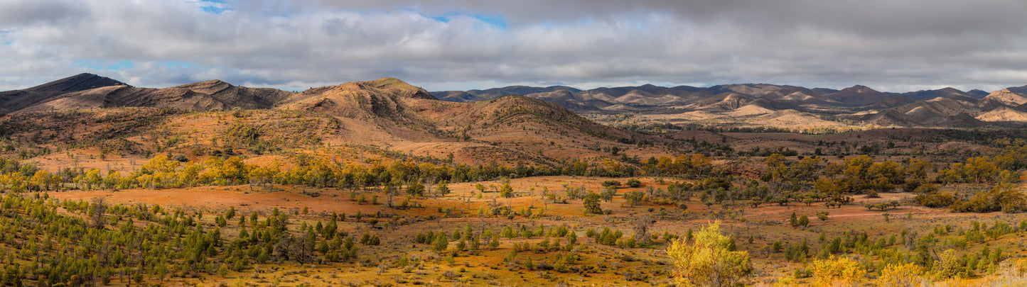 Nuccaleena Track, Moolooloo Station