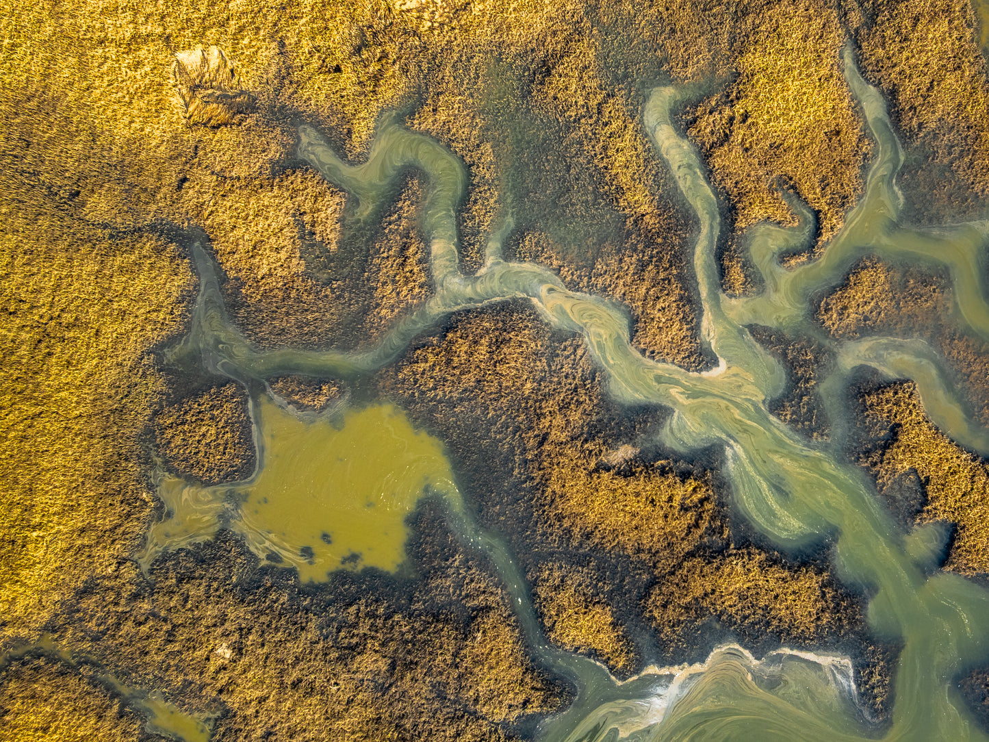 Rubicon River, Harford Tasmania