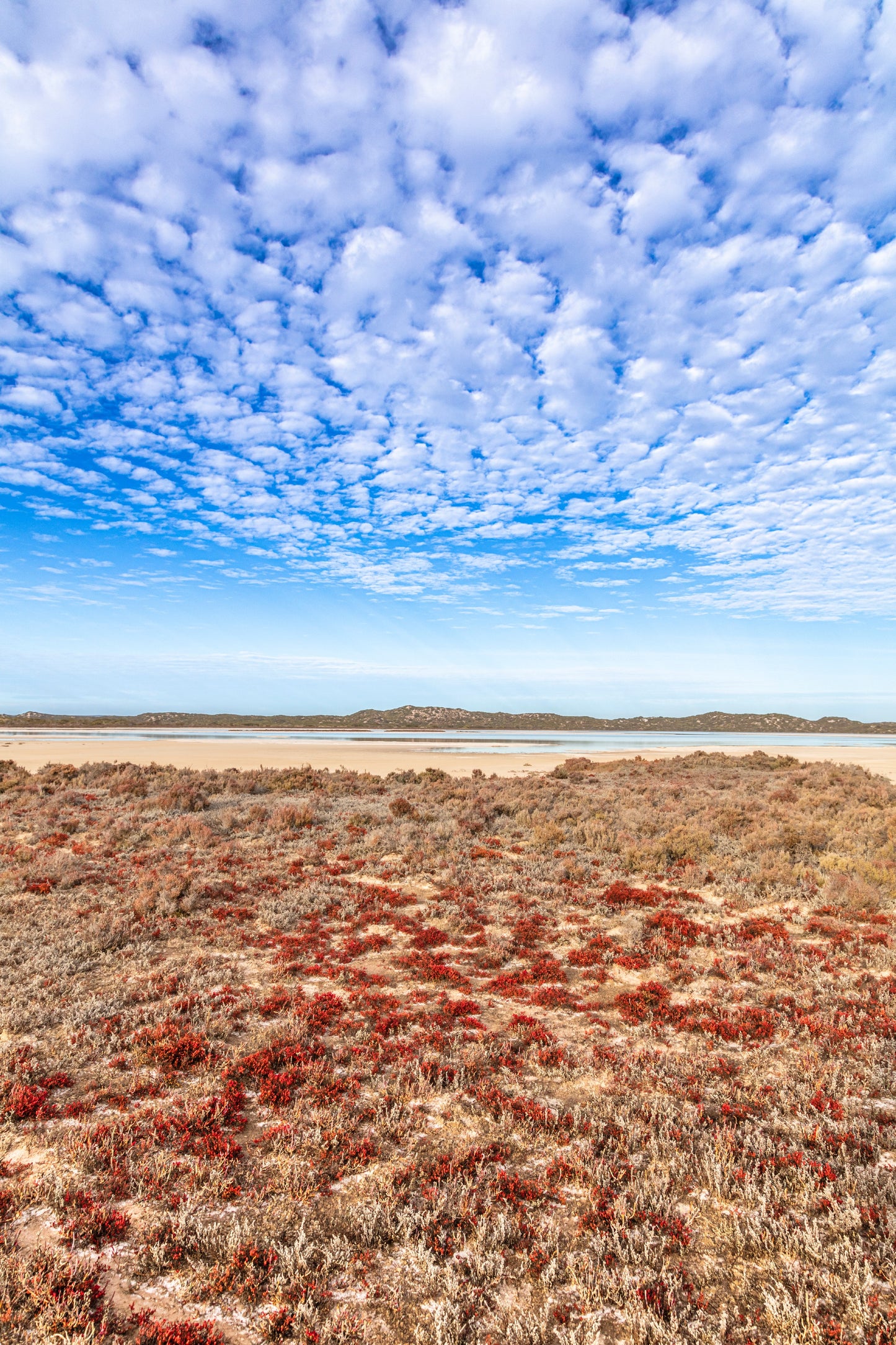 Sceale Bay Salt Lakes