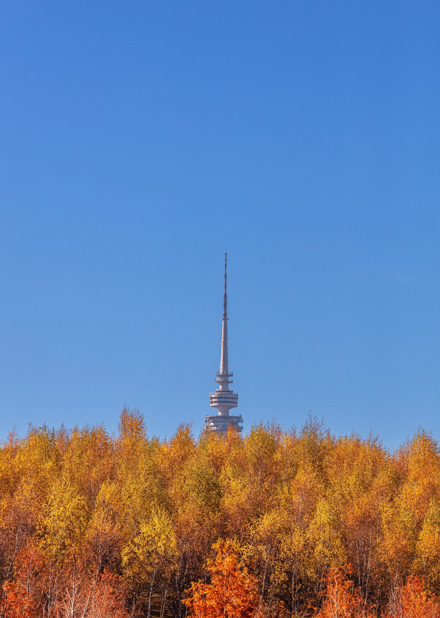 Telstra Tower seen from Arboretum, Canberra