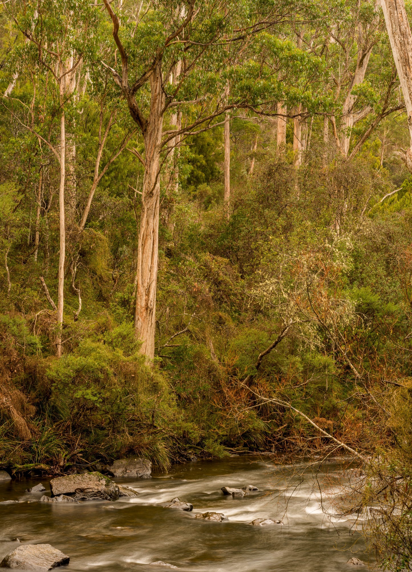 Tyeena River, Tyeena