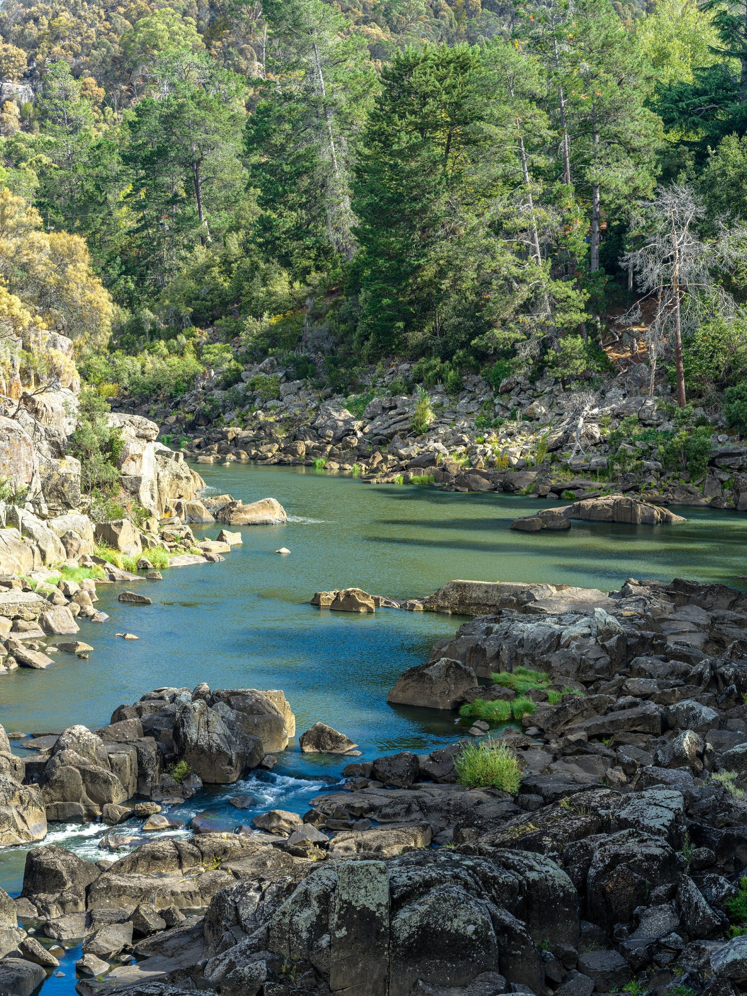 Tasmania