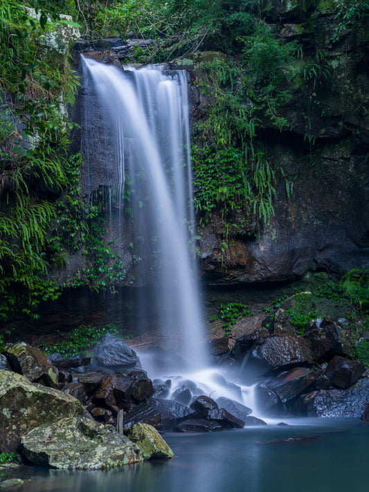 Curtis Falls, Tambourine QLD