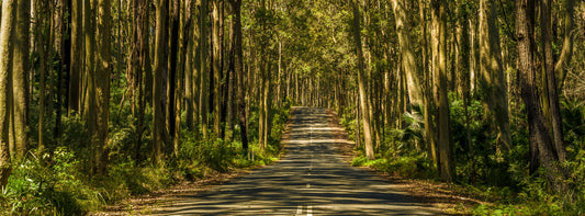 Depot Beach Road