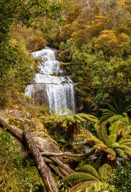 Fainter Falls