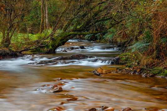 Harrietville