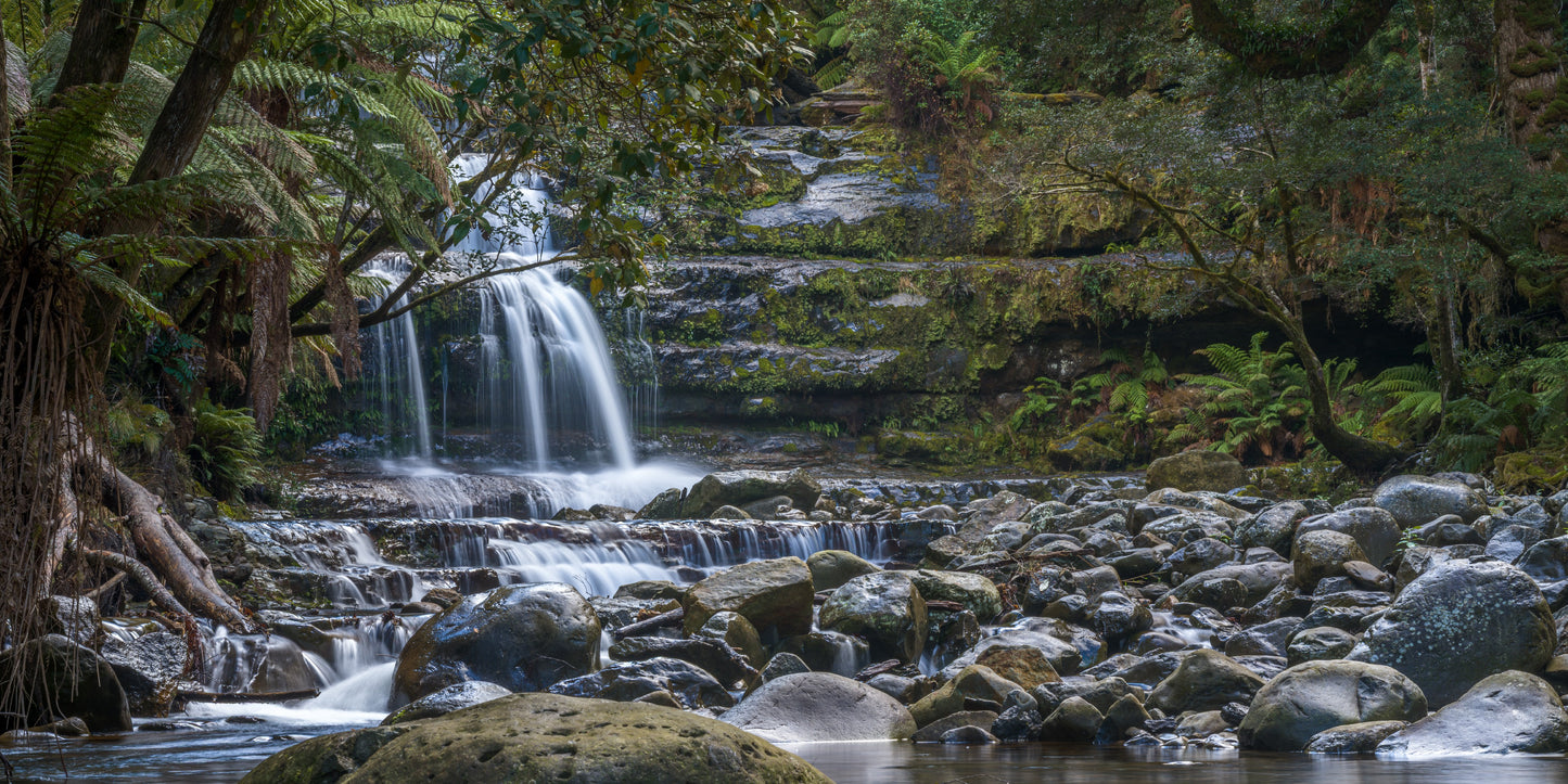 Liffey River Falls, Tasmania