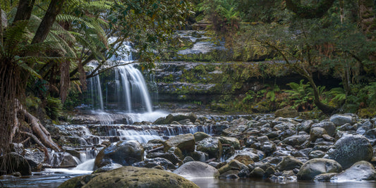 Liffey River Falls, Tasmania