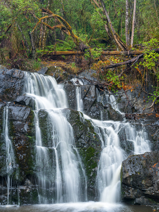 Lilydale Upper Falls