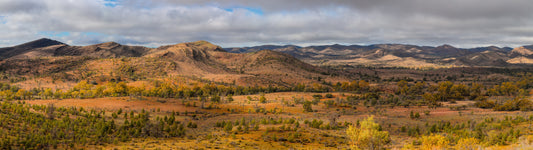 Nuccaleena  Track, Moolooloo Station