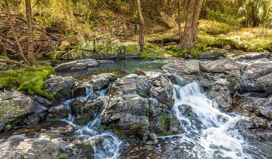 New Station Creek, Tuggeranong
