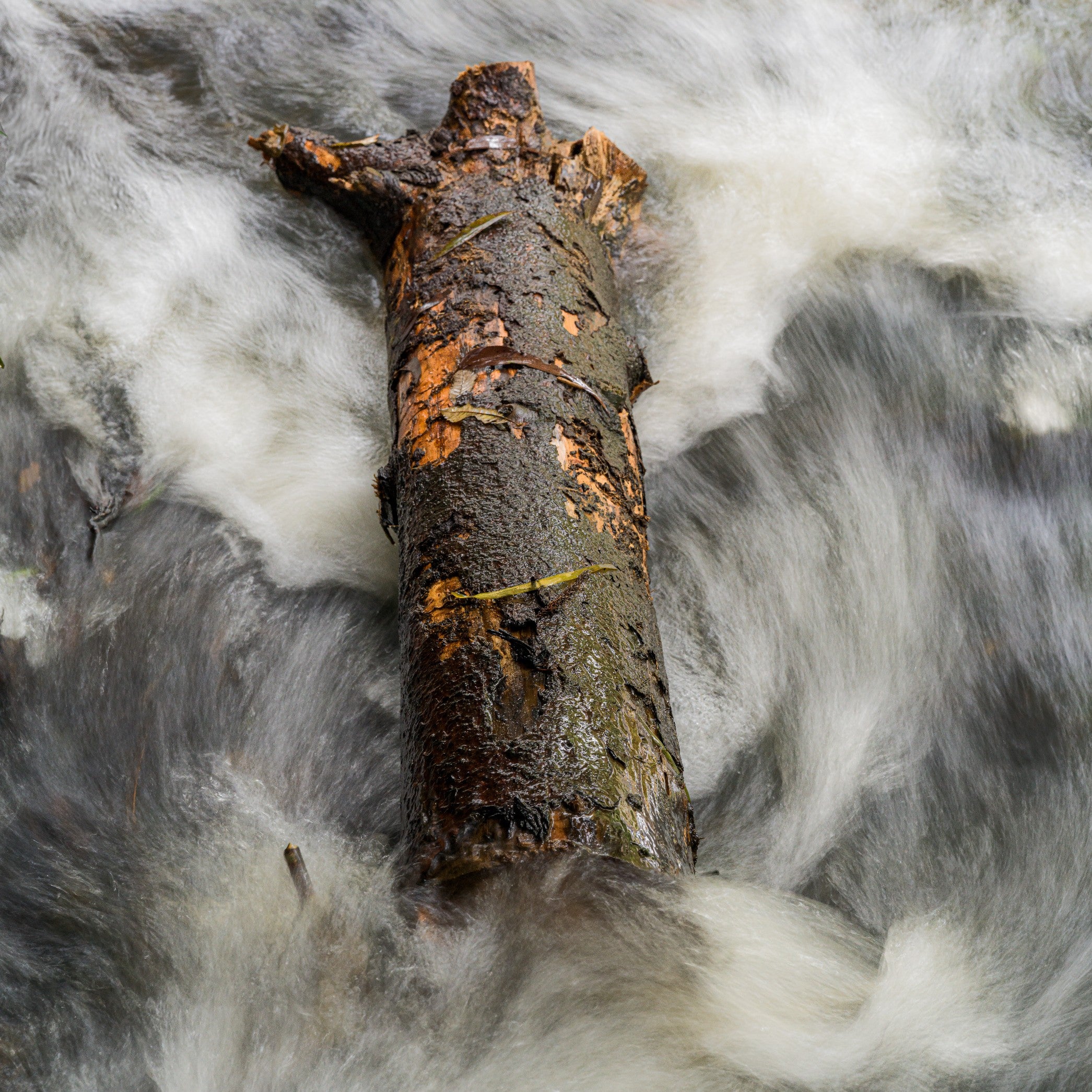 Purling Falls QLD – Damien Wyer Landscape Photography Australia