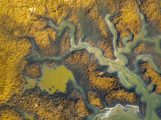 Rubicon River, Harford Tasmania