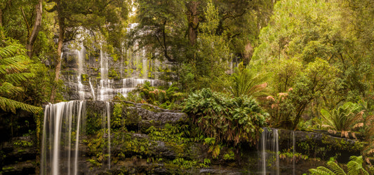 Russell Falls, Mt Field National Park Tasmania