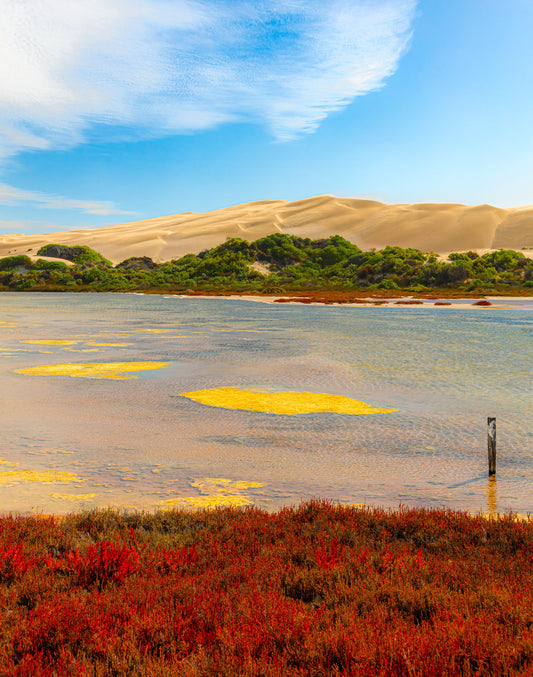 Sand dunes at Lake MacDonnell