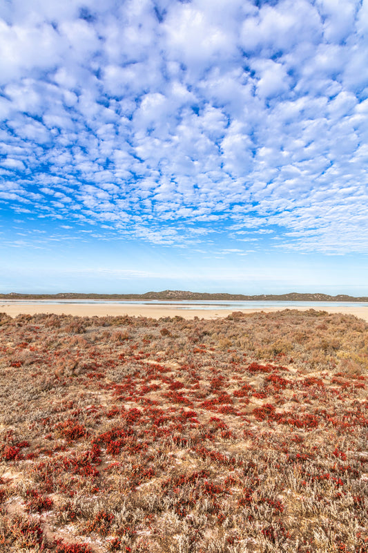 Sceale Bay Salt Lakes