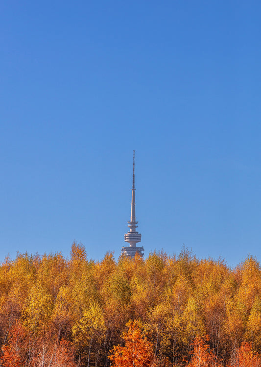 Telstra Tower seen from Arboretum, Canberra