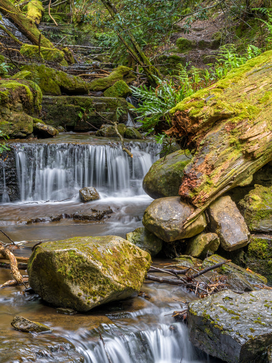 Strickland Falls, Sth Hobart, Tasmania