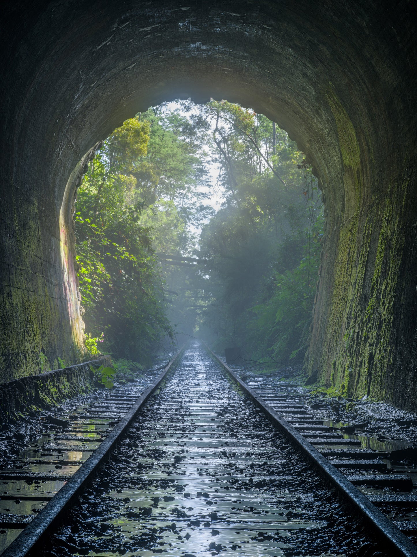 Old Rail Tunnel, Tunnel