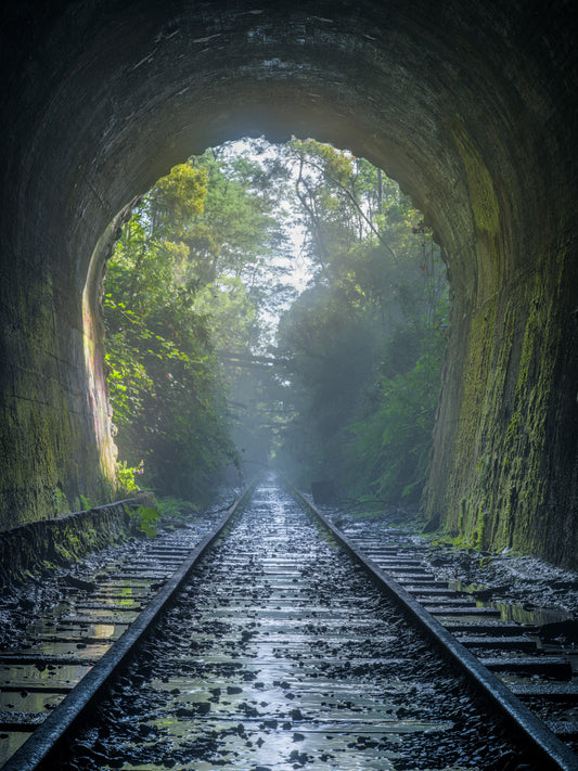 Old Rail Tunnel, Tunnel