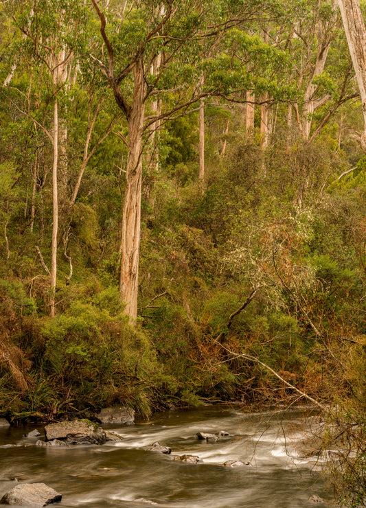 Tyeena River, Tyeena