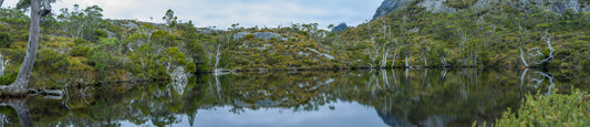 Wombat Pool, Cradle Mountain Tasmania