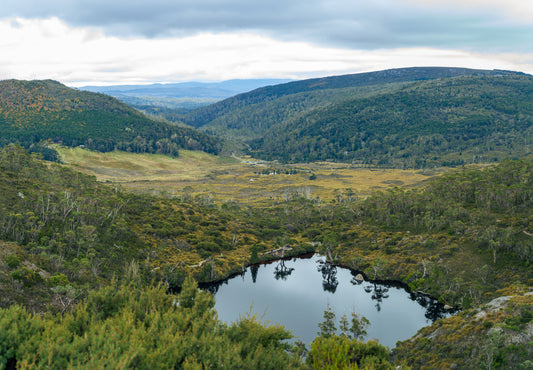 Wombat & Ronny's, Cradle Mountain Tasmania